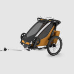 Thule_Chariot_natural_gold