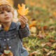 Cute little boy eating croissant in park