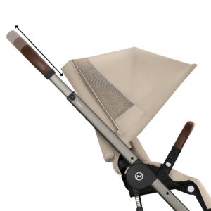 CYB_26_INT_Deta_BaliosSLux_TPE_ALBE_Handlebar_Adjustable_screen_HD